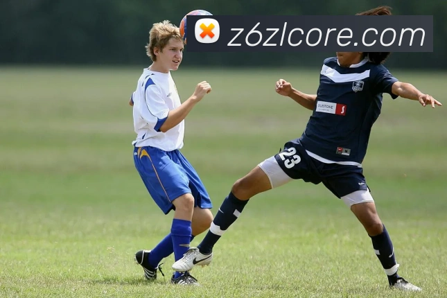 App Interface Preview